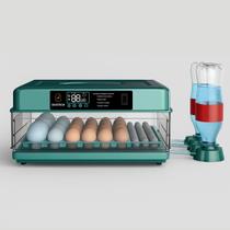 Chocadeira de 48 Ovos Automática Com Ovoscópio Digital Elétrica Incubadora 110v 127v