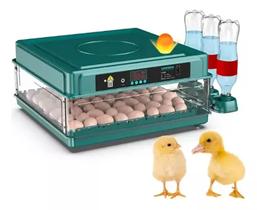 Chocadeira Incubadora 72 Ovos 220v Automática + Ovoscópio - Tennessee