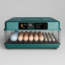 Chocadeira Incubadora Elétrica Automática Até 72 Ovos 127v Com Rolagem Automática Ovoscópio Controle de Umidade Aves Galinha Pato