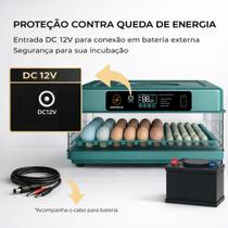 Chocadeira Incubadora Elétrica Automática Até 72 Ovos 220V Com Rolagem Automática Ovoscópio Controle de Umidade Aves Galinha Pato