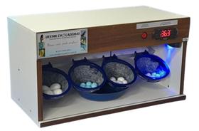 Chocadeira para pássaros com 4 ninhos Chocadeira para pássaros com 4 ninhos