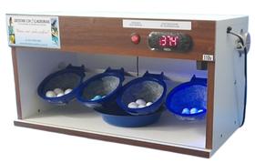Chocadeira para pássaros com 4 ninhos Chocadeira para pássaros com 4 ninhos