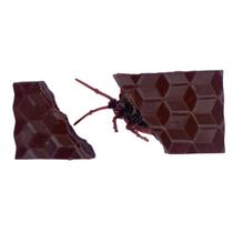 Chocolate com Barata Brincadeira Pegadinha Presente Divertido Amigo Secreto Chocolate com Barata Brincadeira Pegadinha Presente Divertido Amigo Secreto