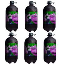 Chopp De Vinho Dúú Gomes 1 Litro Kit Com 6 Unidades Chopp De Vinho Dúú Gomes 1 Litro Kit Com 6 Unidades