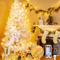 Christmas Cluster Lights Brightown 25 pés 500 LED branco quente Christmas Cluster Lights Brightown 25 pés 500 LED branco quente