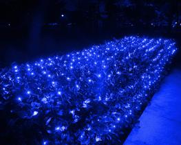 Christmas Net Lights Joomer 360 LED 12 pés x 5 pés, pacote com 2 unidades, azul