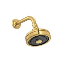 Chuveiro Deca Acqua Plus 1990.GL.STD de Parede Gold