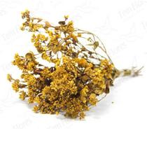 Chuvisco Flor Desidratada Buque Flores Secas