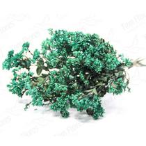 Chuvisco Flor Desidratada Buque Flores Secas