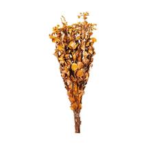 Chuvisco Laranja Desidratado