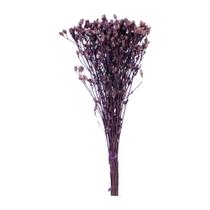 Chuvisco Roxo Desidratado