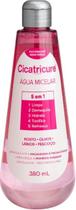 Cicatricure ÁguaMicelar 5 em 1 - Rosto, Olhos, Lábios e Pescoço 380mL Cicatricure ÁguaMicelar 5 em 1 - Rosto, Olhos, Lábios e Pescoço 380mL