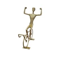 Ciclista comemora em metal