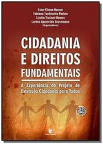 Cidadania e direitos fundamentais :a experiencia d - UNIJUI