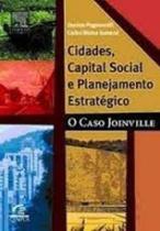 Cidades, capital social e planejamento estrategico