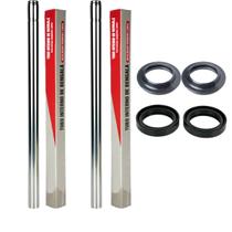 Cilindro Bengala + Retentor+guarda Po Fazer 250 2006 A 2011