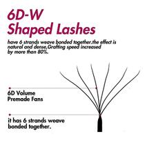 Cílios Fadvan 6D W Volume Brasileiro Egipcio 3D Duplo
