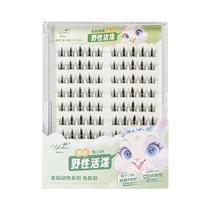 Cílios Postiços Em Grupo Autoadesivos Cat Eye DIY Extensão De Cílios Reutilizáveis Yelix Manga Cílios Postiços Em Grupo Autoadesivos Cat Eye DIY Extensão De Cílios Reutilizáveis Yelix Manga