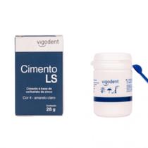 Cimento Ls Em Pó (28g) - Vigodent