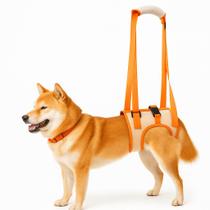 Cinto de Apoio Pet Patas Traseiras Suporte de Reabilitação
