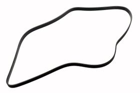 Cinto serpentino ACDelco GM Original Equipment 55578811