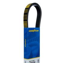 Cinto serpentino Goodyear Belts 1081265 de 8 nervuras, comprimento de 3213 mm