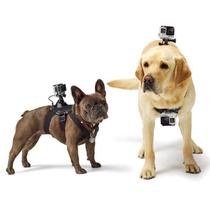 Cinturão Canino para Câmera GoPro, Fetch - ADOGM-001