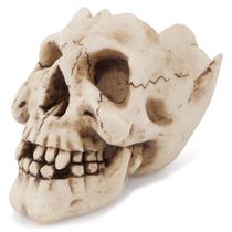 Cinzeiro: resina realista com design de caveira 9,5x6,5x7cm 250g Cinzeiro: resina realista com design de caveira 9,5x6,5x7cm 250g