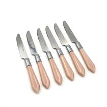 Cj 6 Facas P Churrasco De Inox Cabo De Plástico Rosa 21Cm