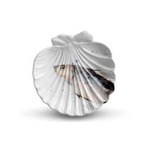 Cj.6 Pratos Sobremesa de Cerâmica Ocean Branco 20cm Scalla Cj.6 Pratos Sobremesa de Cerâmica Ocean Branco 20cm Scalla