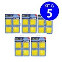 Clarificante Clear Gel 100G Maresias Kit C/5 Clarificante Clear Gel 100G Maresias Kit C/5