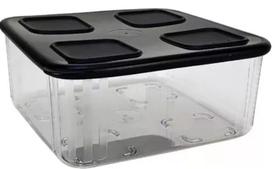 Clear Mate Quadrado 1,04 litros Transparente tampa Preta (Policarbonato) Tupperware Clear Mate Quadrado 1,04 litros Transparente tampa Preta (Policarbonato) Tupperware