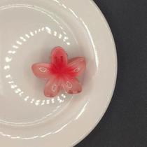 Clip de Cabelo Flor Bauhinia-Estilo gradiente,design de tubarão,ideal para penteados femininos Cor:Vermelho claro-4cm Clip de Cabelo Flor Bauhinia-Estilo gradiente,design de tubarão,ideal para penteados femininos Cor:Vermelho claro-4cm