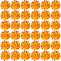 Clipe de cabelo Flower Waydress, 30 pacotes Rose Bridal Wedding Orange Clipe de cabelo Flower Waydress, 30 pacotes Rose Bridal Wedding Orange