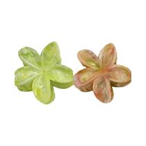Clipe De Cabelo Grande Para Férias De Verão Na Praia, 2 Peças, Cor Bobo, Flor Acrílica, Acessórios