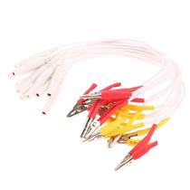 Clipe Para Agulhas De Acupuntura 6pcs Cabo Jacaré Para Instrumento De Tratamento De Acupuntura Clipe Para Agulhas De Acupuntura 6pcs Cabo Jacaré Para Instrumento De Tratamento De Acupuntura