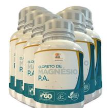 Cloreto De Magnésio P.A 500Mg 60 Cápsulas Kit Com 6 Potes - Lider Suplementos