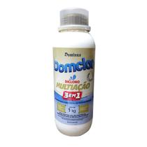 Cloro Multiação 3 em 1 Domclor 1kg