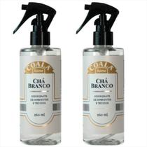 Coala Cheirinho Para Casa Odorizador De Ambiente Kit c/2 Coala Cheirinho Para Casa Odorizador De Ambiente Kit c/2