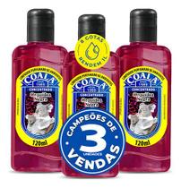 Coala Orquídea Negra Limpador Perfumado 120 Ml - 3 Unidades Coala Orquídea Negra Limpador Perfumado 120 Ml - 3 Unidades