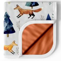 Cobertor Bebê Pobibaby Premium 50x50cm - Macio e Elástico