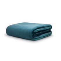 Cobertor Casal Neo Velour 180X220 Liso 300G/M Verde