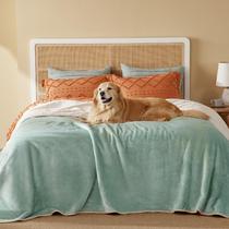 Cobertor impermeável Bedsure para cama Sherpa Fleece Light Green