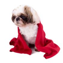 Cobertor JN Pet Manta Para Cachorro Pequeno Medio e Grande