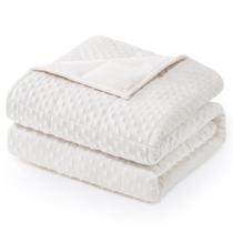Cobertor pesado Wemore Minky Dot para adultos Queen 6,8 kg branco