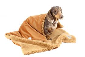 Cobertor Puppy para Cachorro e Gato Pet Cobertor Puppy para Cachorro e Gato Pet