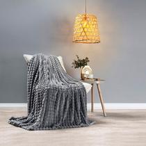 Cobertor Queen Manta Ultra Soft Muito Macio Toque Fofo Willow 01 Peça Gris