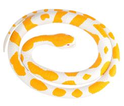 Cobra de Borracha Albina Python Wild Republic 46cm - Brinquedo Infantil