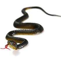 Cobra de Borracha Realista Brinquedo de Simulação e Decoração