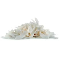 Coco Ralado Fita Pote Casa Santa Luzia - 40g